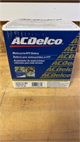 ACDelco ATV/Motorcycle Battery