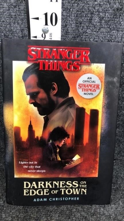 stranger things book