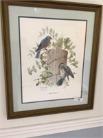 Charles Spaulding bluebird framed print - 27 in x