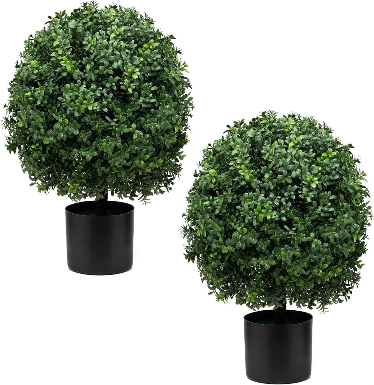 Set of 2 Pre-Potted Shrubs UV 24