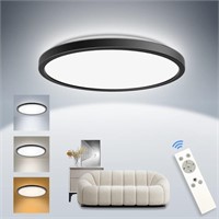 Flush Mount Ceiling Light Fixture Remote Control,