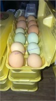 3 Doz Mixed Eating Eggs