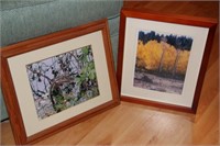 Lot of 2 framed pictures