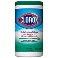 Lingettes/Wipes Clorox 75 unités/75 wipes