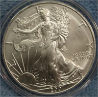 2007 UNC 1 OZ Fine Silver Eagle