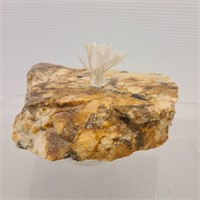 Granite Rock Oil Lamp