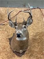 Buck mount on plaque