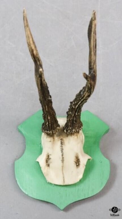 Antler Mount on Painted Wood Plaque