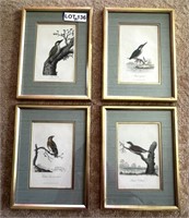 (4) Unique Bird  Etchings by George Graves