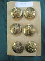 6 Police brass buttons