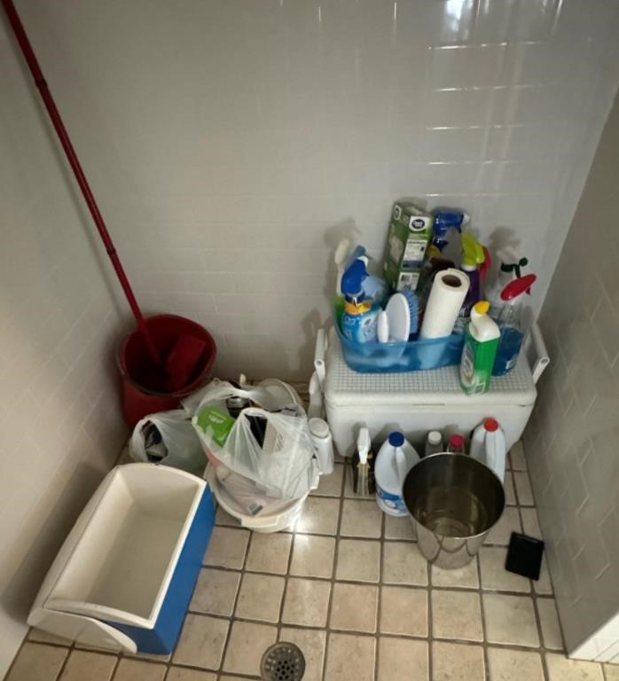 Contents of shower area, cleaning supplies
