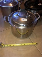 Heavy Stainless Stock Pot & Lid