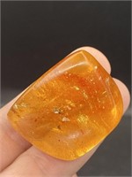 Amber, Fossil, Natural, Collectible, Specimen, Ins