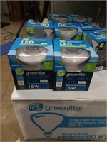 Greenlight security lite 15w led. 2 bulbs for 1