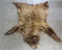 Brown bear rug 52x44 claws on 1 paw only
