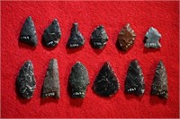 12 Arrowheads Longest is 1 5/8" Found by Venn Keel