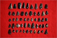 50 Bird Point Arrowheads Most Damaged, Longest is