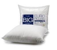 The Big One Euro Pillow retail $20