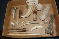 Assorted Bone Teeth & Fossils