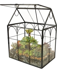 ELEGANTLIFE Glass Geometric Plant Terrarium