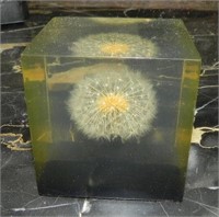 1970's Dandelion encased in Lucite Paperweight