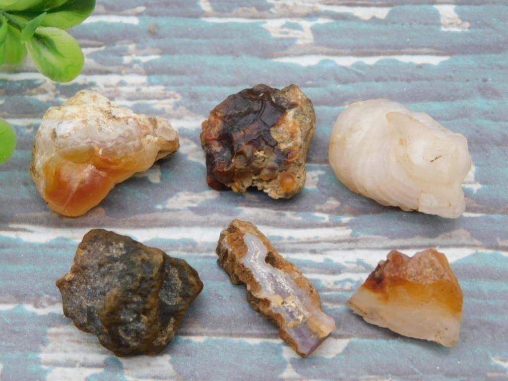 RARE FOSSILS, ROUGH ROCK, CRYSTALS, GEMS, MINERALS, JEWELRY,