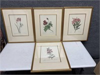 Set of Four Prints of Flowers