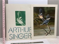 Belted Kingfisher 1975 Print