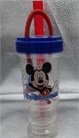Walt Disney World Souvenir Water Bottle