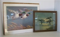 Framed litho duck print by Bruextle and a mallard