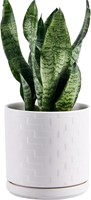 Planter Plant Pot - 7.5 Inch White Ceramic
