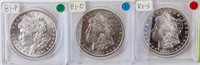 Coin 3 Morgan Silver Dollars 81-P, O & S BU DMPL