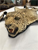 Genuine Leopard Rug