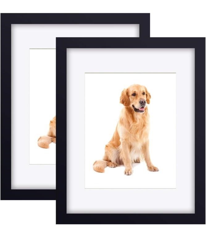 (new) 2-pack 11x14 Picture Frame, Display Poster