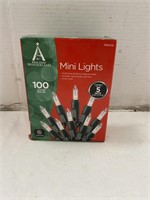 100 Mini Lights Clear Bulbs