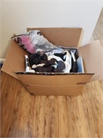 Large box of women's sock and some hose