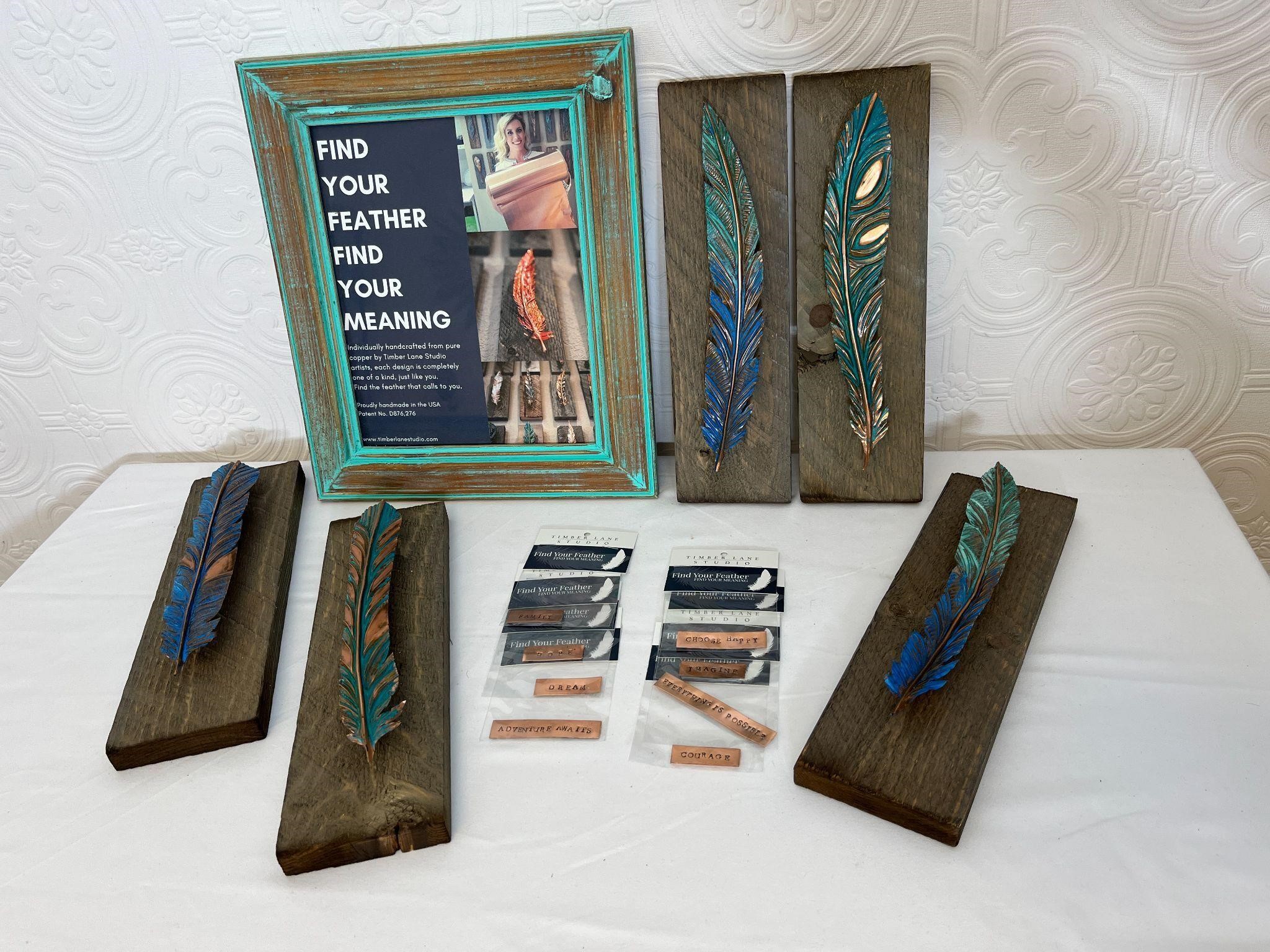 Copper Feathers & Display Frame