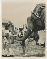 8x10 Mrs. Good & Mrs. Turhen with elephant