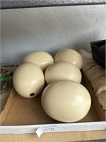 Ostrich egg decor