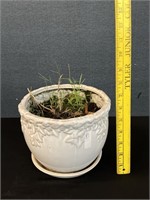 Small White Ceramic Planter