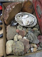 Rocks & Shells