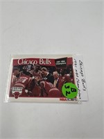 Chicago Bulls 1991 NBA Champions Team