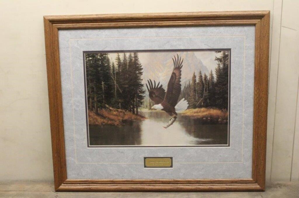 Derk Hansen, Print "Wild America" (20'' x 24'') Ap