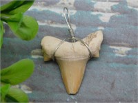 SHARK TEETH PENDANTS ROCK STONE LAPIDARY SPECIMEN