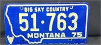 L S 4Montana License Plates