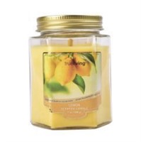 TrueLiving Hexagon Jar Candle Meyer Lemon 7oz NEW