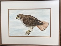Anonymous Watercolor Print of Eagle