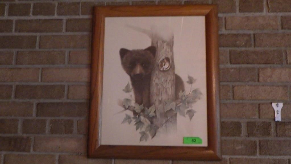 F. MASSA BEAR CUB IN TREE PRINT 19 x 23