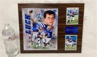 NFL Colts Andrew Luck #12 Photo & Cards Plaque