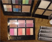 Mary Kay Makeup Trays & Concealers